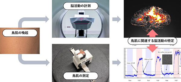 恐怖 感動 驚き さまざまな感情体験で鳥肌が生じるのはなぜ Academist アカデミスト