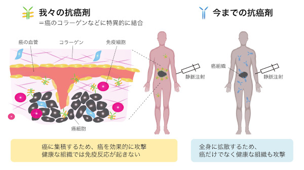 がん患者さんに優しい抗がん剤を作りたい Academist アカデミスト