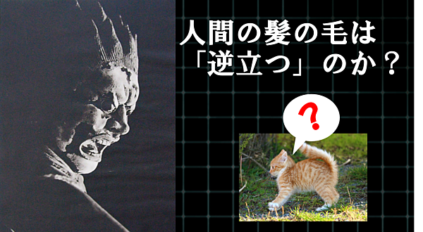 恐怖 感動 驚き さまざまな感情体験で鳥肌が生じるのはなぜ Academist アカデミスト
